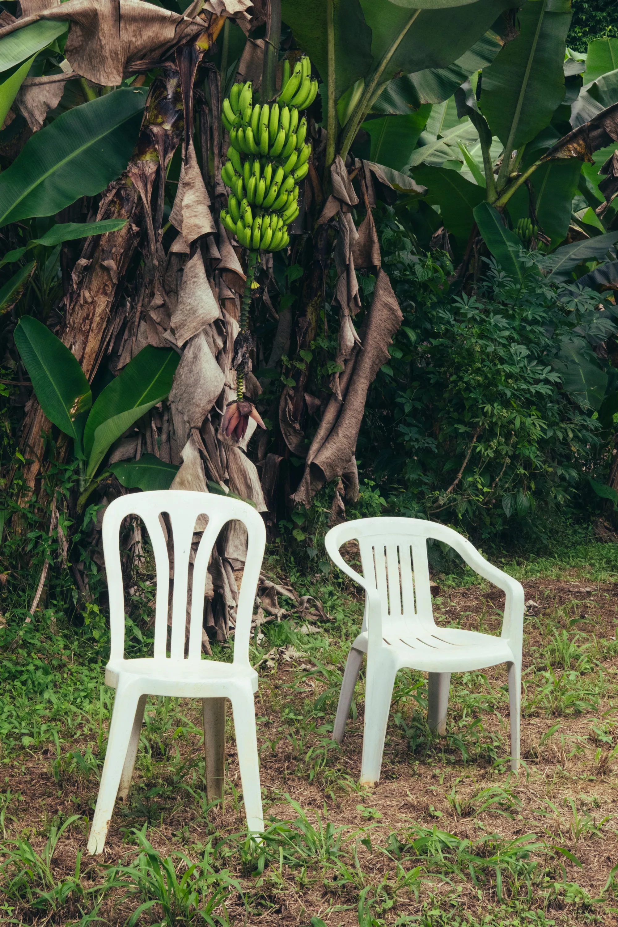 Debí Tirar Más Fotos